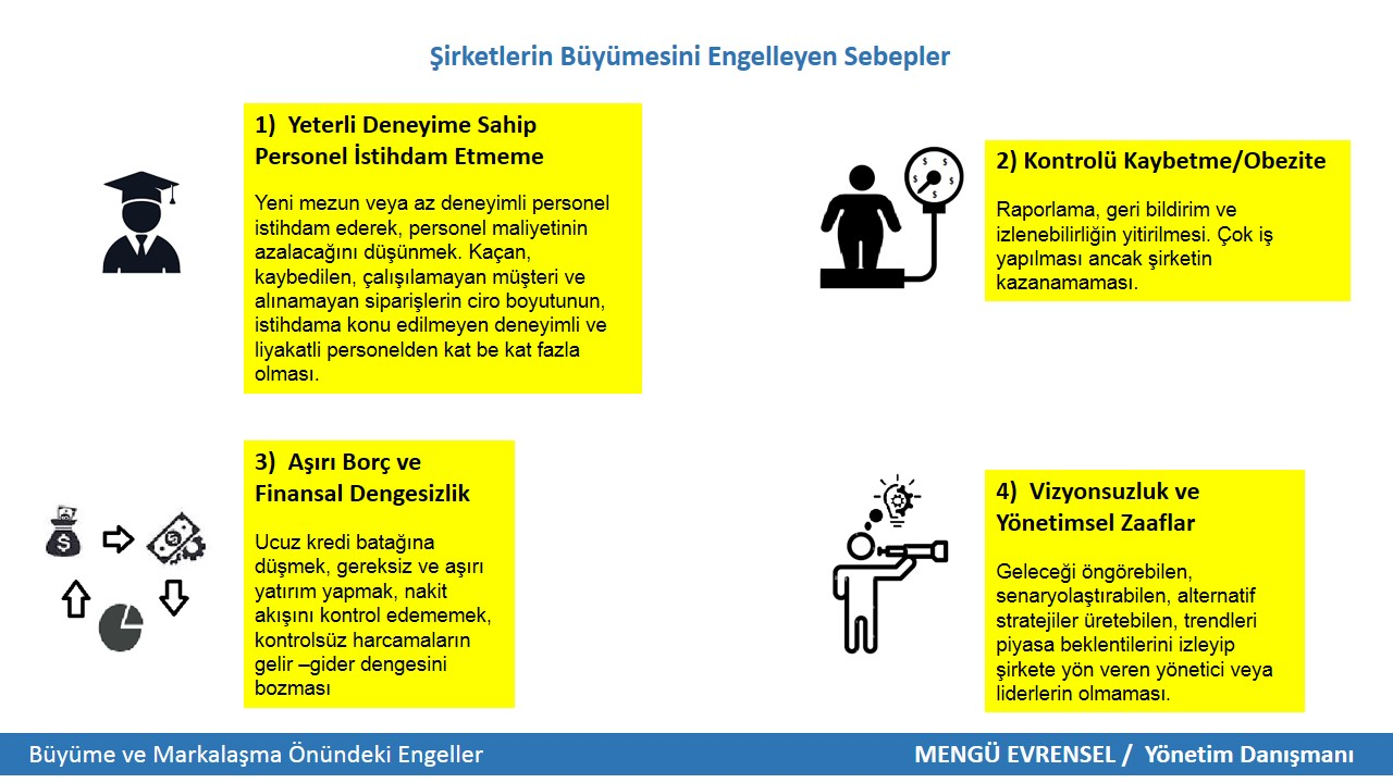 kurumsal büyümeyi engelleyen etkenler