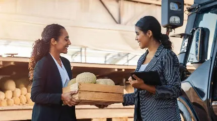 Karpuz Ağacı – II