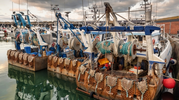 Türkiye'de Balıkçılık