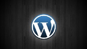 Web Sitesi Kurmak, Web Sitesi Tasarımı ve Wordpress